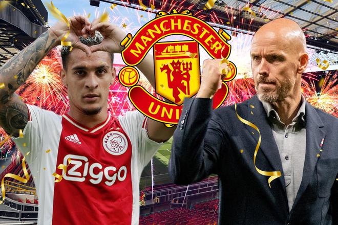 但它们也意 但它们也意