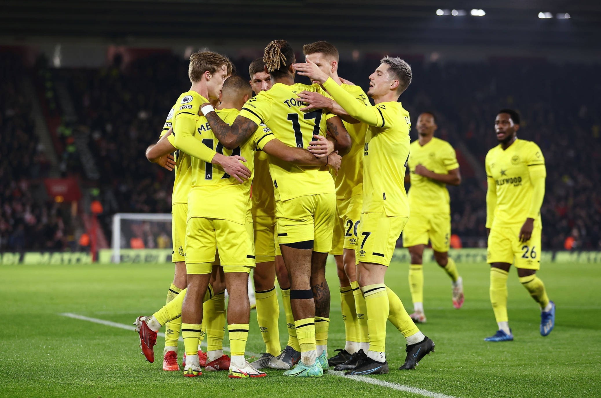 在这项运动 在这项运动